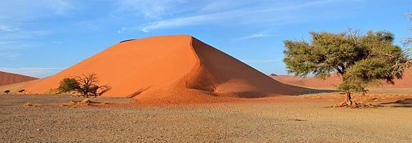 納米比亞沙漠 002.jpg