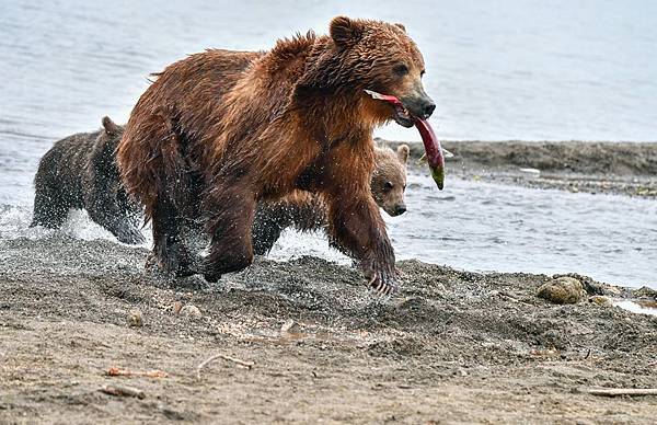 【2020年 再次啟程 前進堪察加半島🐻 】007.jpg