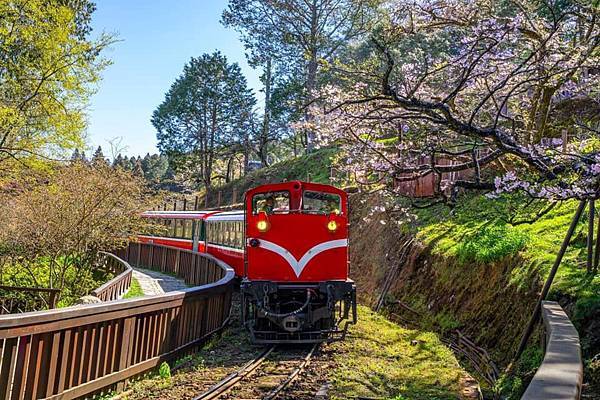 【媲美世界遺產的台灣鐵路傳奇：登山鐵路】001.jpg