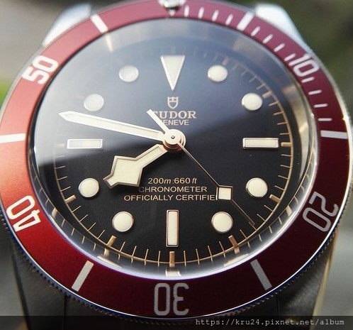 tudor79230r1.jpg tudor79230r1.jpg
