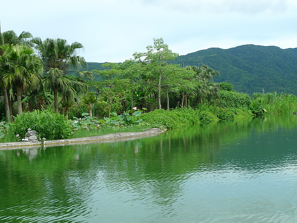 遊河沿途景觀