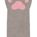 cat_hand_gray.png