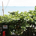 高雄海景餐廳-海洋天堂