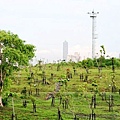 高雄遛嬰新景點-中都溼地公園