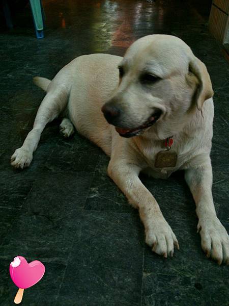 高雄自由行-鹽埕在地人路線大公開