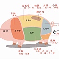 腿庫示意圖