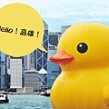 黃色小鴨環遊世界高雄站-自製首頁