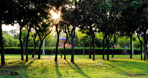 高雄捷運週邊美食TOP10系列-中央公園捷運站