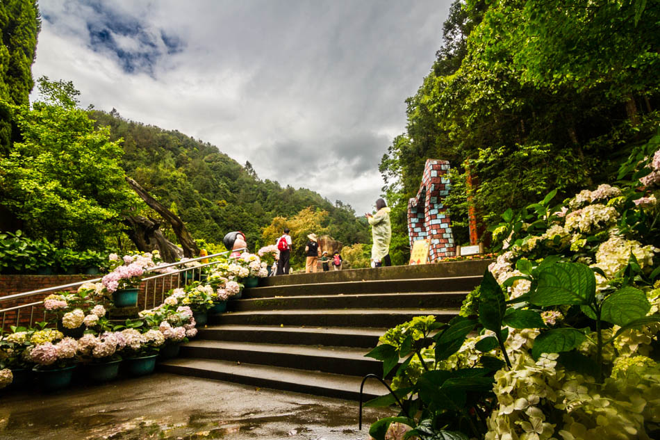 南投旅遊-杉林溪-藥花園