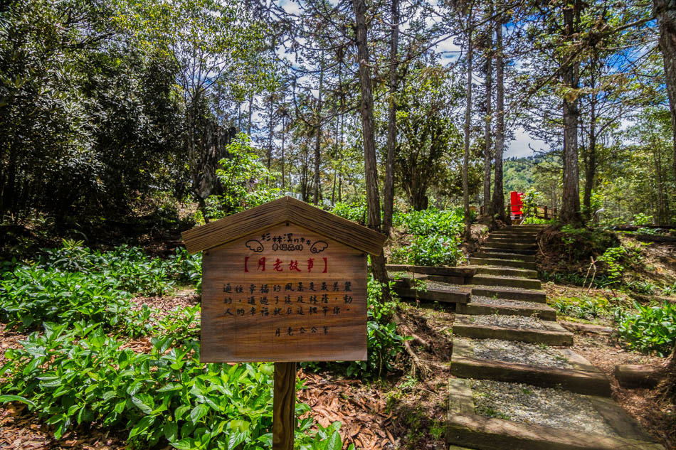 南投旅遊-杉林溪-月老廟