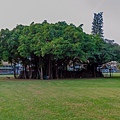 哈瑪星公園路橋鐵道園區-天空雲台