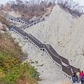 高雄旅遊 - 田寮月世界