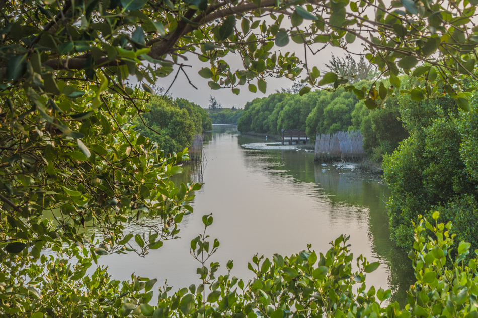 援中港濕地公園