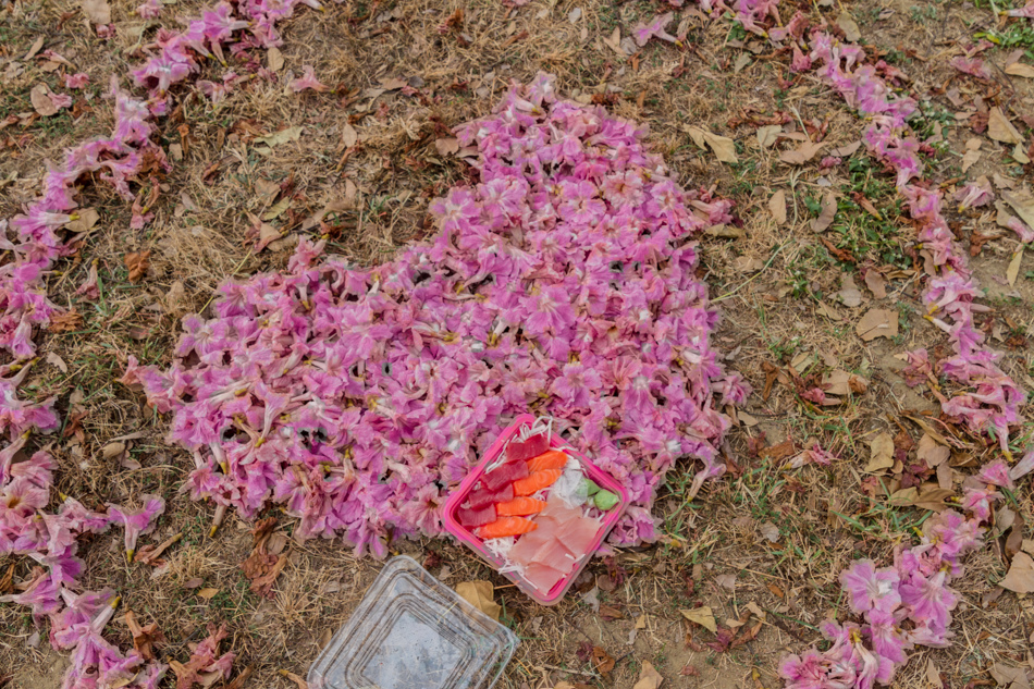 前鎮高中賞花+代天府美食