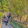 熱帶植物園