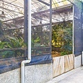 熱帶植物園