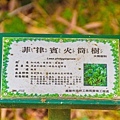 熱帶植物園