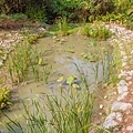 熱帶植物園