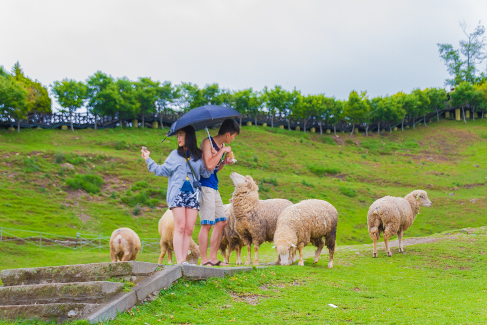 統聯清境農場之旅