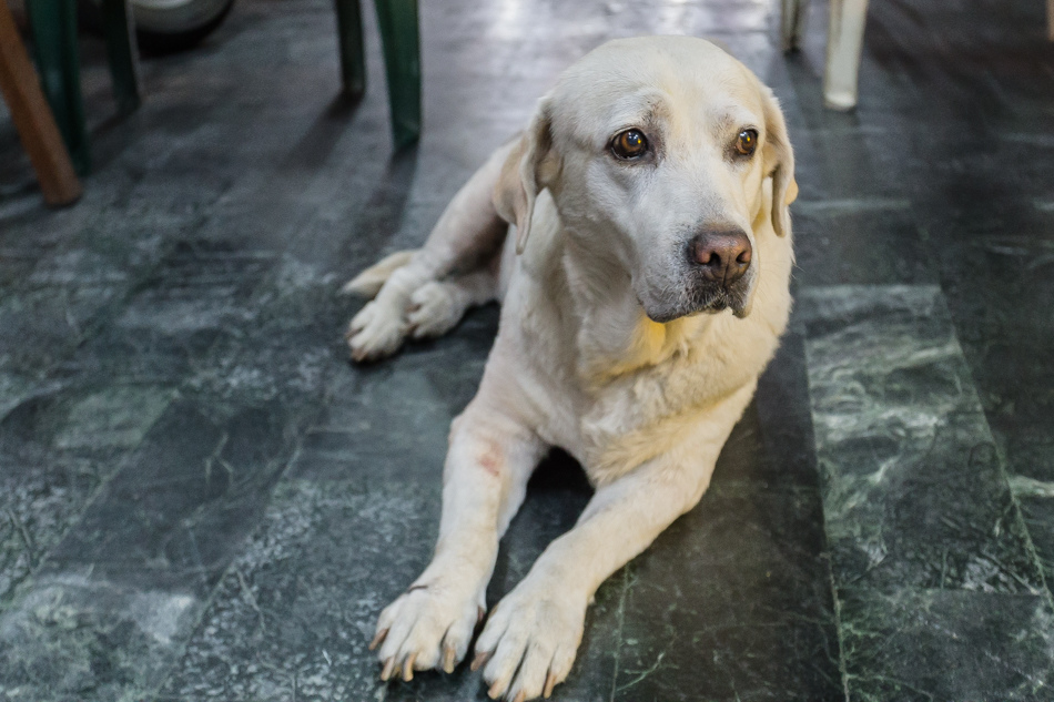 鹽埕美食 - 香茗茶行/襄茗茶坊 鹽埕美食 - 香茗茶行/襄茗茶坊