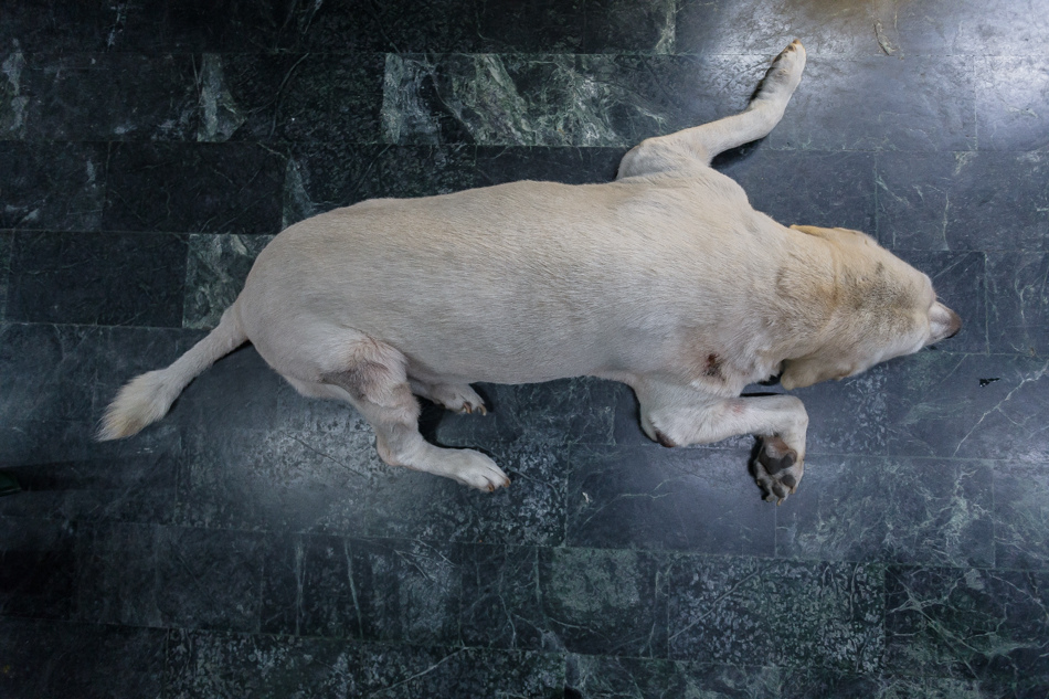 鹽埕美食 - 香茗茶行/襄茗茶坊 鹽埕美食 - 香茗茶行/襄茗茶坊