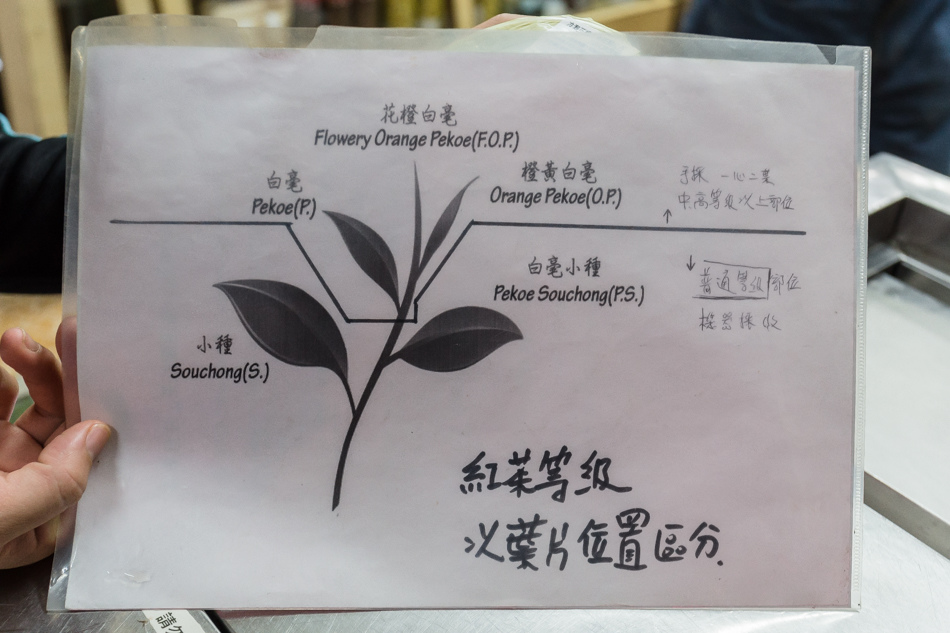 鹽埕美食 - 香茗茶行/襄茗茶坊 鹽埕美食 - 香茗茶行/襄茗茶坊