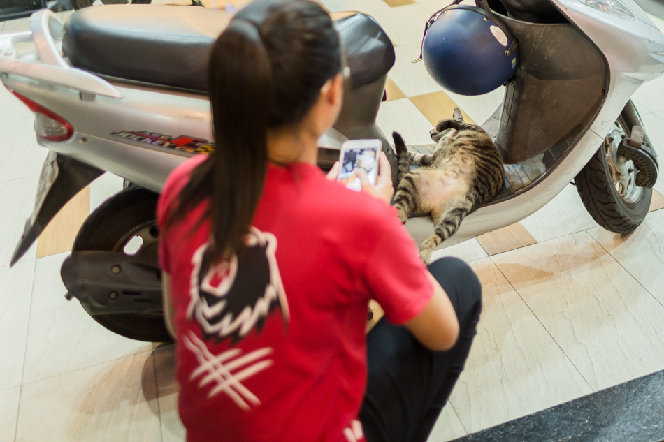 好運吐司商行 好運吐司商行