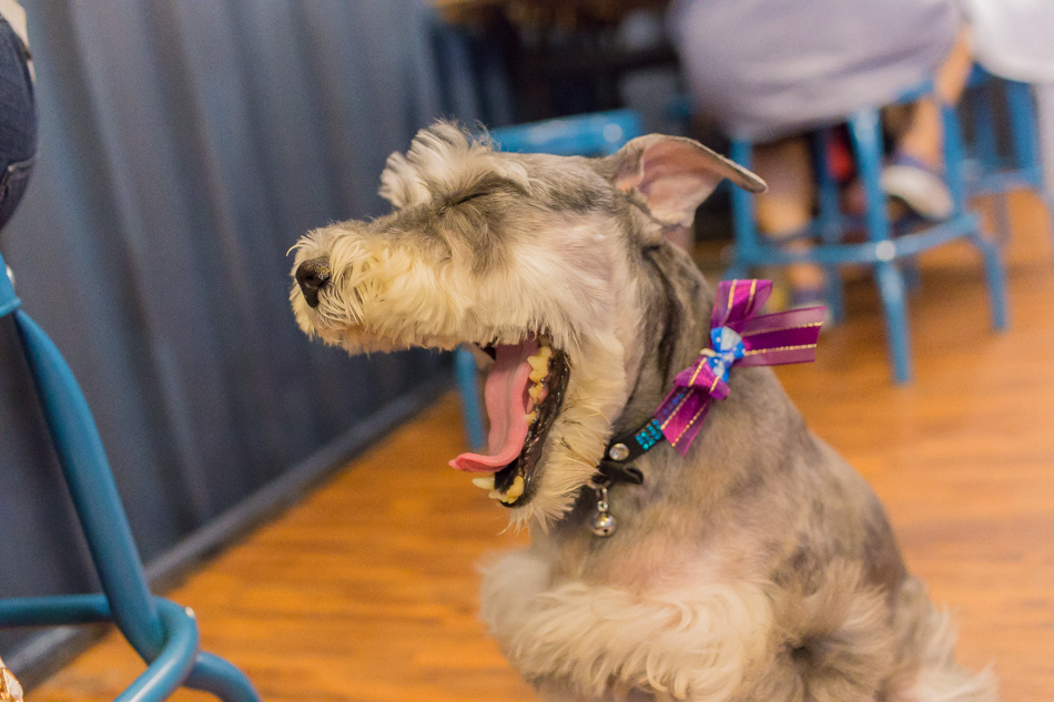 起士米 Cheese Me 起士米 Cheese Me