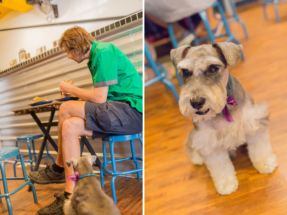 興中商圈美食 - 起士米 Cheese Me 興中商圈美食 - 起士米 Cheese Me