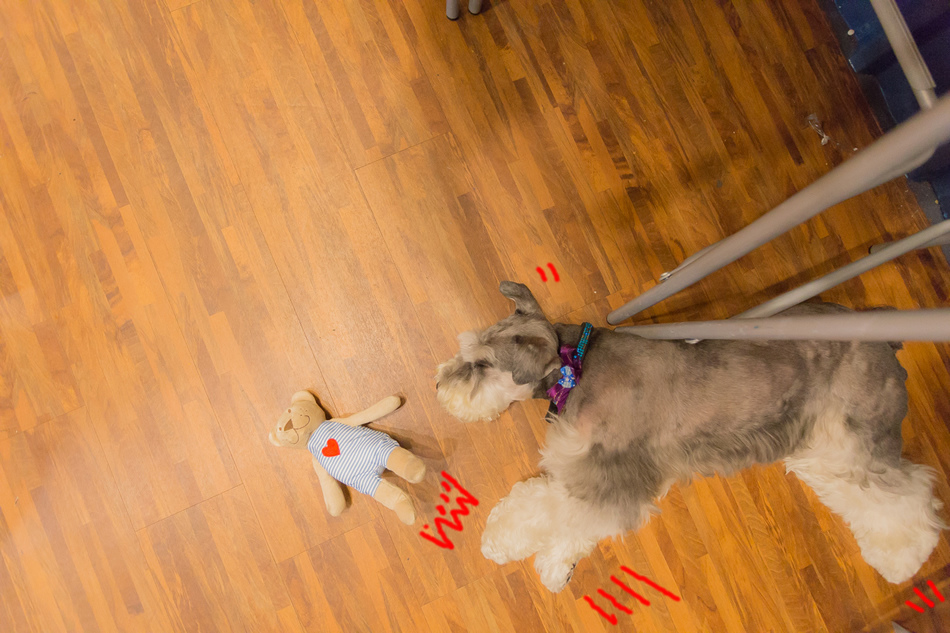 興中商圈美食 - 起士米 Cheese Me 興中商圈美食 - 起士米 Cheese Me