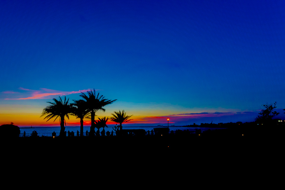 西子灣美食 - 西子灣美食 -