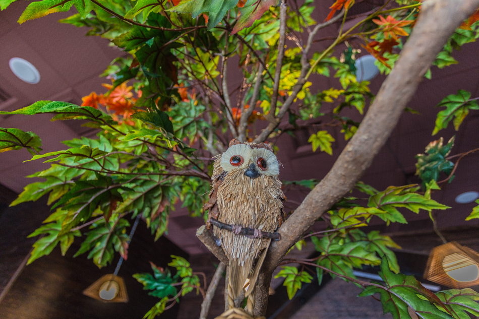 鳳山美食-貓頭鷹鍋物鳳山美食-貓頭鷹鍋物