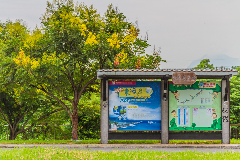 2015台東旅遊-知本泡溫泉 2015台東旅遊-知本泡溫泉