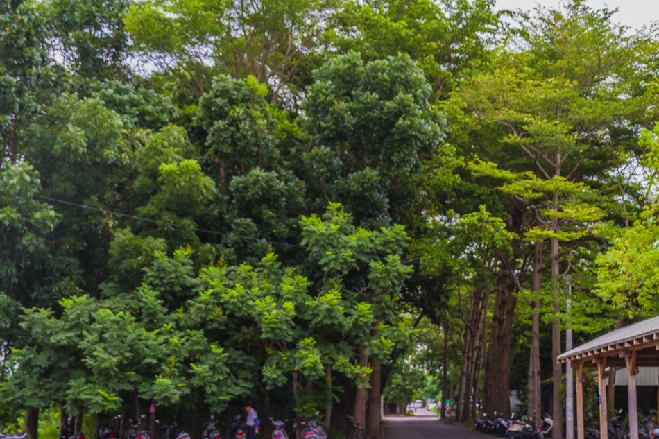 IMG_0525.jpg IMG_0525.jpg