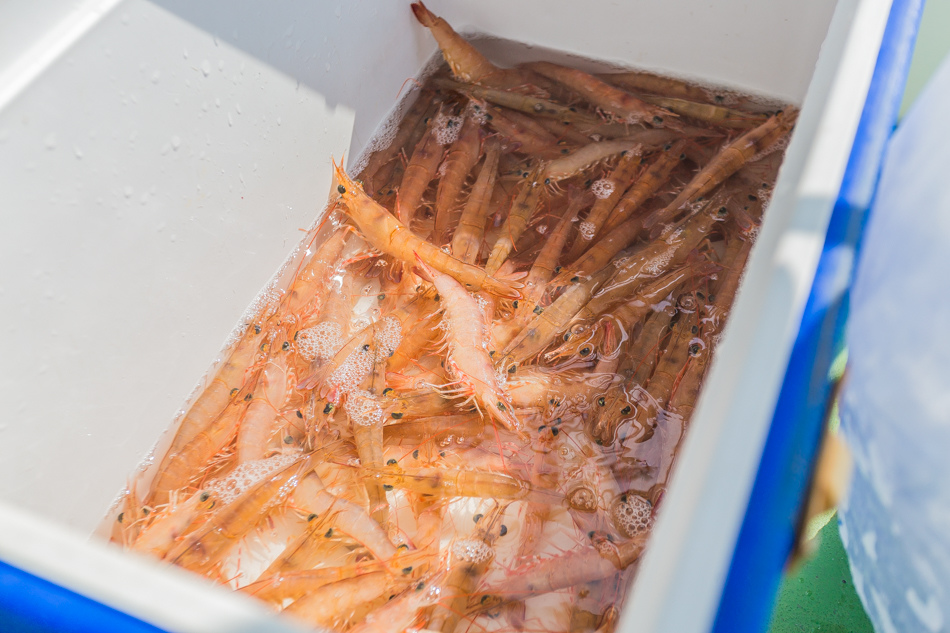 雲嘉南濱海線旅遊(一) - 外傘頂洲 雲嘉南濱海線旅遊(一) - 外傘頂洲