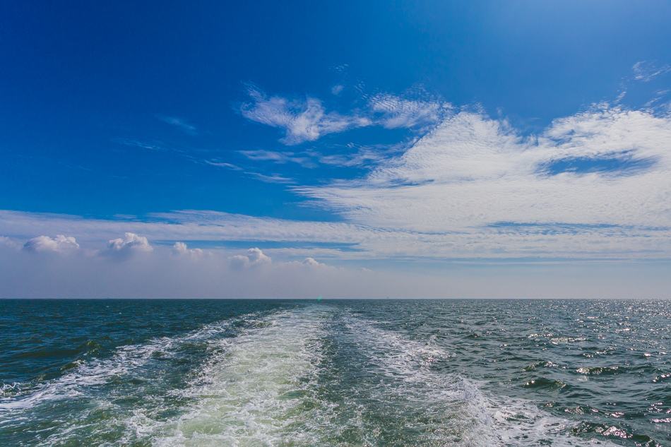 雲嘉南濱海線旅遊(一) - 外傘頂洲 雲嘉南濱海線旅遊(一) - 外傘頂洲