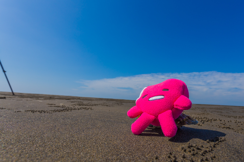 雲嘉南濱海線旅遊(一) - 外傘頂洲 雲嘉南濱海線旅遊(一) - 外傘頂洲