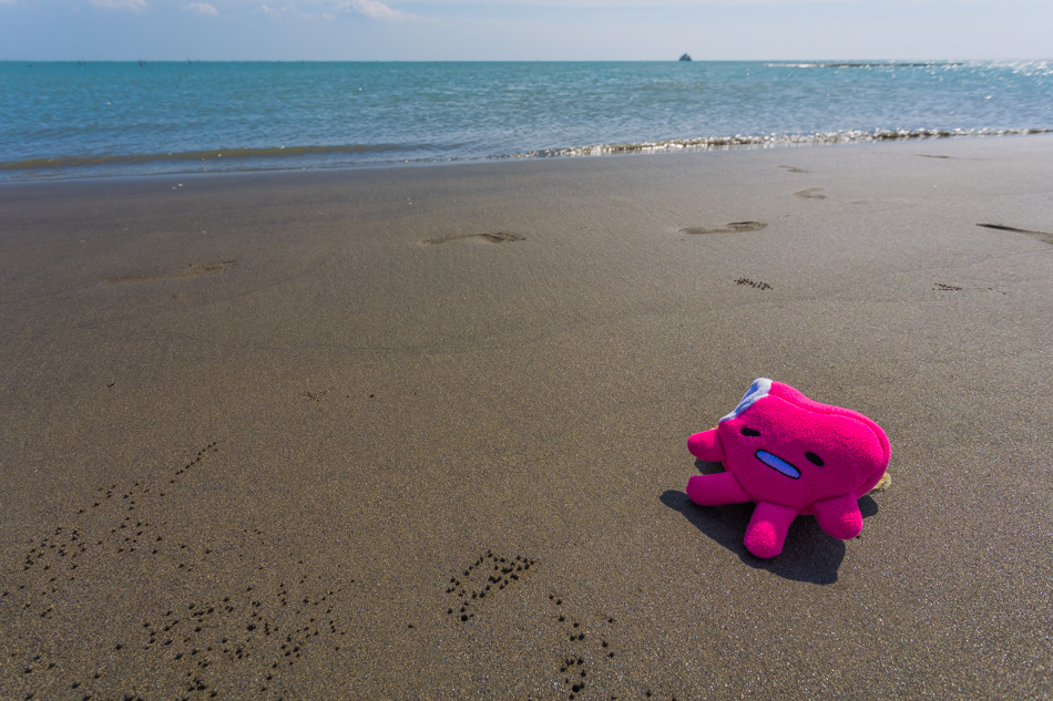雲嘉南濱海線旅遊(一) - 外傘頂洲 雲嘉南濱海線旅遊(一) - 外傘頂洲