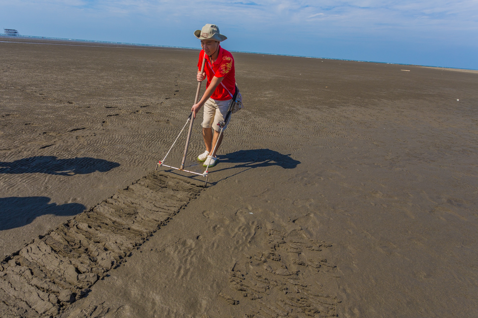 雲嘉南濱海線旅遊(一) - 外傘頂洲 雲嘉南濱海線旅遊(一) - 外傘頂洲