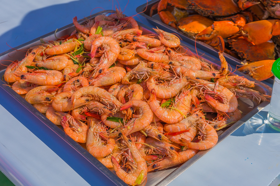 雲嘉南濱海線旅遊(一) - 外傘頂洲 雲嘉南濱海線旅遊(一) - 外傘頂洲