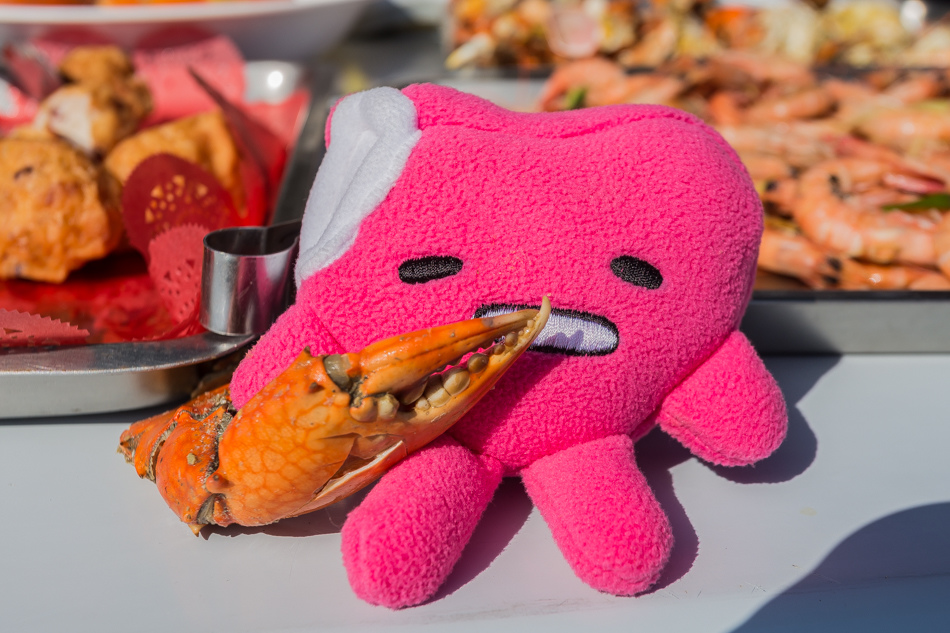 雲嘉南濱海線旅遊(一) - 外傘頂洲 雲嘉南濱海線旅遊(一) - 外傘頂洲