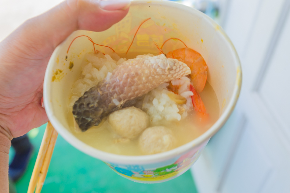 雲嘉南濱海線旅遊(一) - 外傘頂洲 雲嘉南濱海線旅遊(一) - 外傘頂洲