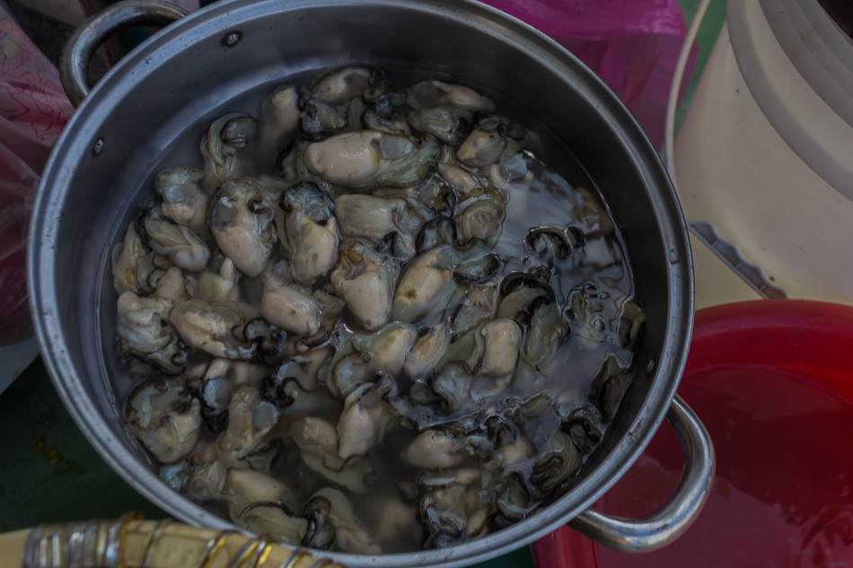 雲嘉南濱海線旅遊(一) - 外傘頂洲 雲嘉南濱海線旅遊(一) - 外傘頂洲