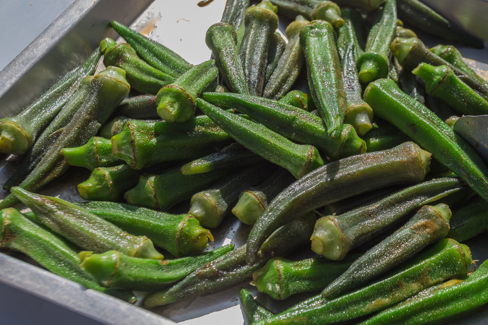 雲嘉南濱海線旅遊(一) - 外傘頂洲 雲嘉南濱海線旅遊(一) - 外傘頂洲