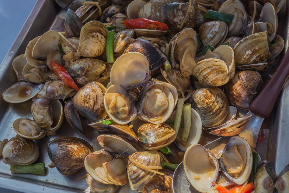 雲嘉南濱海線旅遊(一) - 外傘頂洲 雲嘉南濱海線旅遊(一) - 外傘頂洲