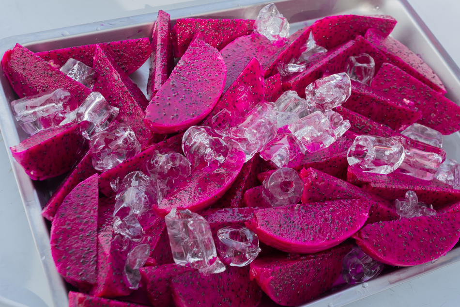 雲嘉南濱海線旅遊(一) - 外傘頂洲 雲嘉南濱海線旅遊(一) - 外傘頂洲