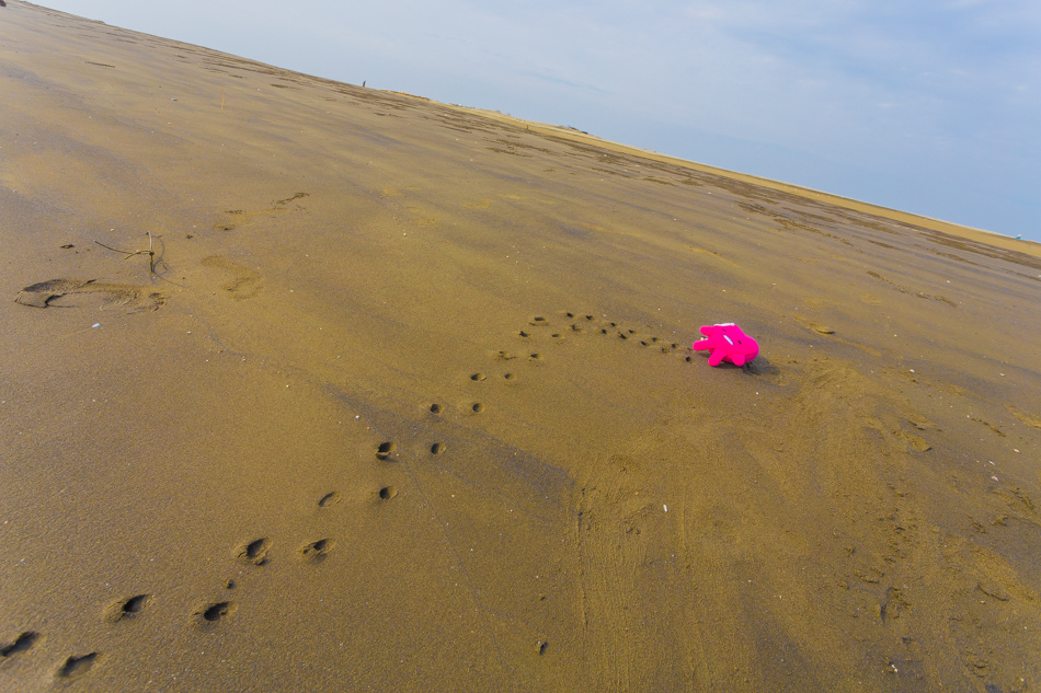雲嘉南濱海線旅遊(一) - 外傘頂洲 雲嘉南濱海線旅遊(一) - 外傘頂洲