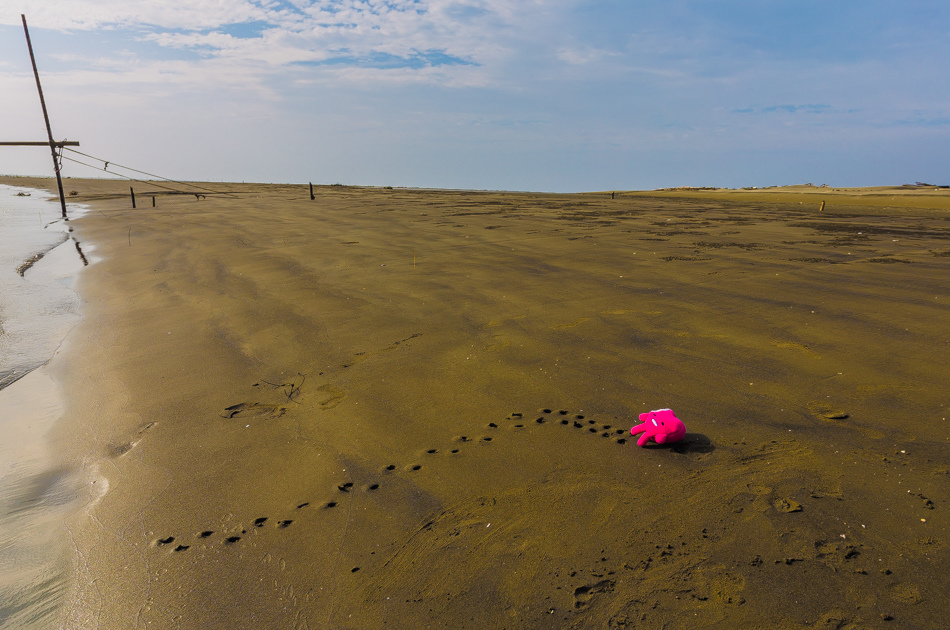 雲嘉南濱海線旅遊(一) - 外傘頂洲 雲嘉南濱海線旅遊(一) - 外傘頂洲