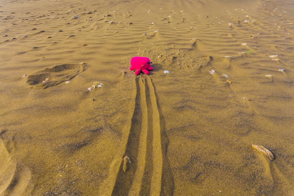雲嘉南濱海線旅遊(一) - 外傘頂洲 雲嘉南濱海線旅遊(一) - 外傘頂洲