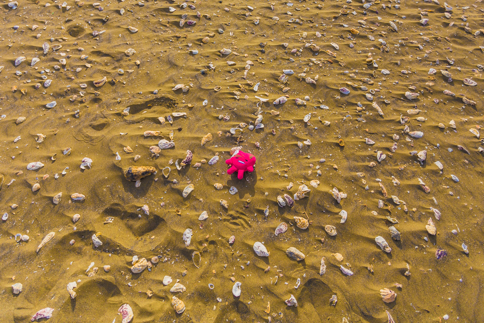 雲嘉南濱海線旅遊(一) - 外傘頂洲 雲嘉南濱海線旅遊(一) - 外傘頂洲